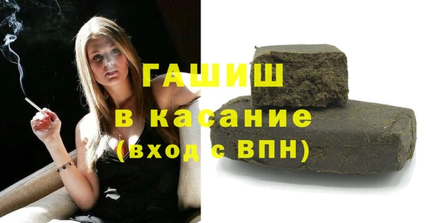 хмурый Пересвет
