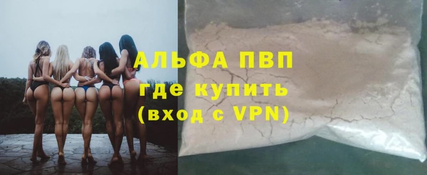 хмурый Пересвет