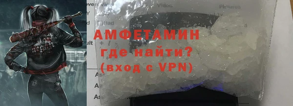 хмурый Пересвет