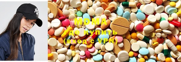 хмурый Пересвет