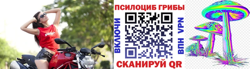 Псилоцибиновые грибы Cubensis  Углич 