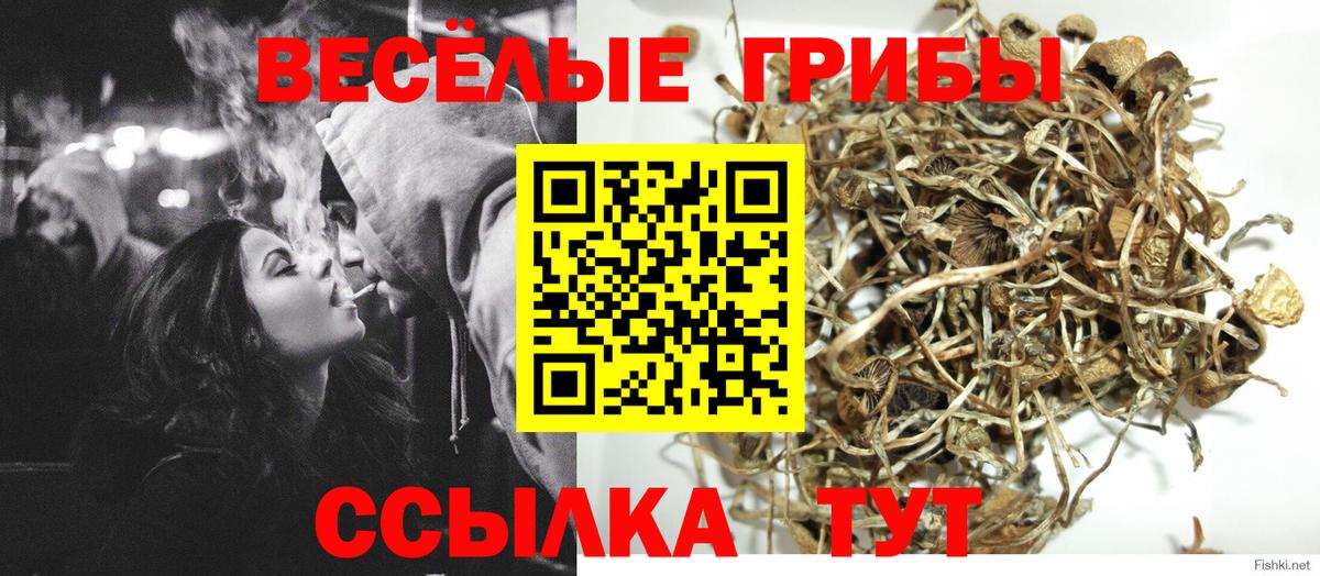 Галлюциногенные грибы MAGIC MUSHROOMS Углич