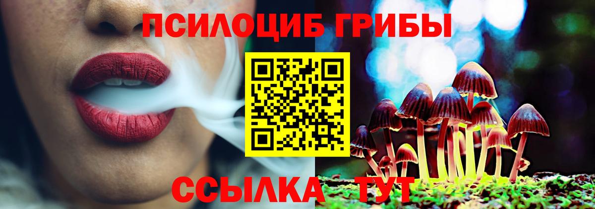 Углич  Псилоцибиновые грибы Cubensis  магазин  наркотиков  Вход с VPN 